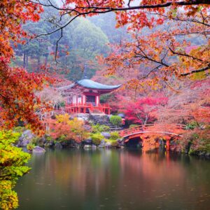 Japón Básico: Tokio, Kioto, Nara, Hakone y Osaka